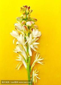 微信里感悟爱情的经典说说(15句)