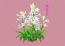 2021节日即将结束祝福语简短(精选55条)