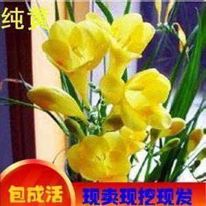 2021立冬微信朋友圈祝福语(精选67条)
