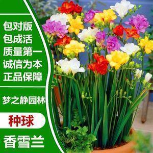 心里有苦难受的心情 糟糕的心情句子(精选26句)