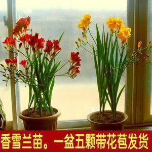 反对邪教的宣传语