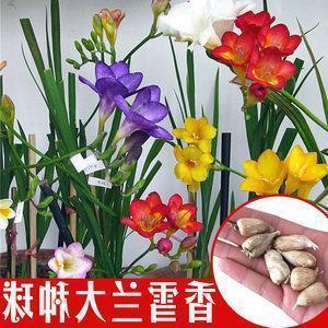 2021年春节朋友圈短信祝福语大全简短最火