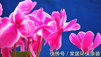 少和生命无关的人和事耗着 放空自己的心情说说随心(精选25句)