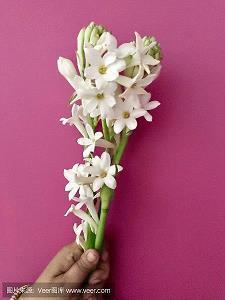 入人心的说说句子19句