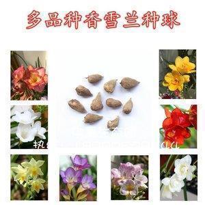 2021年牛年最打动人的祝福贺词文案