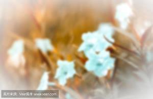 出去玩的心情说说搞笑 关于旅游出去玩的心情说说(精选44句)