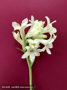 对对象失望透顶的句子