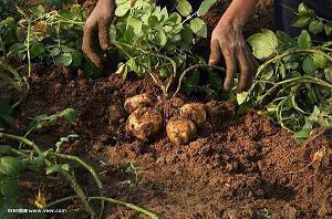 2021情人节简短祝福语