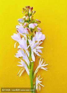 关于惊讶的说说