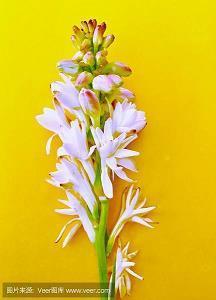 对女朋友说的浪漫的话 关于追女朋友聊天说什么好(精选84句)