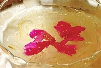 2021给毕业生的寄语美好的合集65句