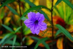 2020教师节快乐祝福语短信