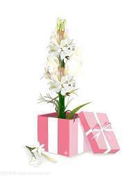 2021年的春节祝福语简短一句话