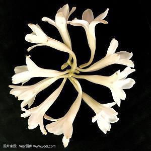 2021有关中秋节的佳句祝福(精选76条)