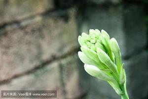 做一个崭新的自己说说句子 关于崭新的开始心情说说(精选25句)