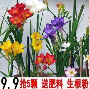 2021立冬唯美文案句子大全(精选113句)