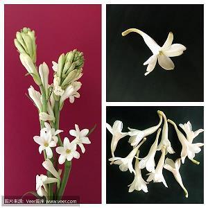 2020三八妇女节贺卡祝福语