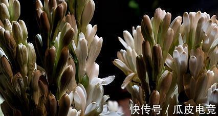 2020情人节卡片祝福语