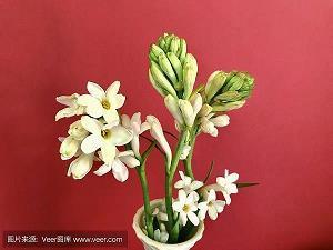 关于报答父母的句子句