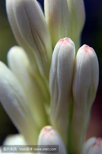 2021领导爱听的牛年祝福语