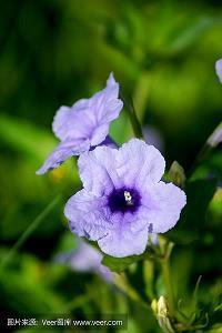 对末来失望的句子