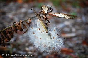 2021劳动节唯美假期祝福语录文案推荐71句