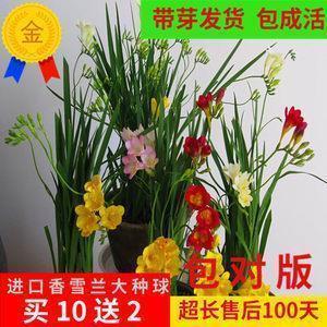 2021立夏朋友圈说说句子57句