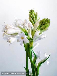 丁宁