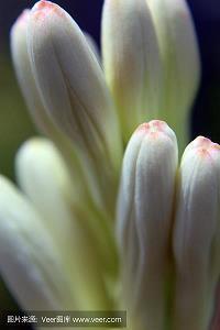 开心重要的逗比句子