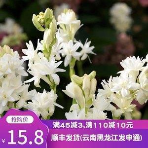 2021大年三十吃年夜饭最火的祝福语