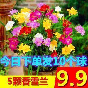 语误