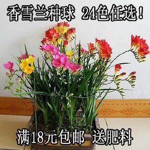 2021年牛年吉祥话 牛年吉祥成语 牛气冲天押韵句精选75句