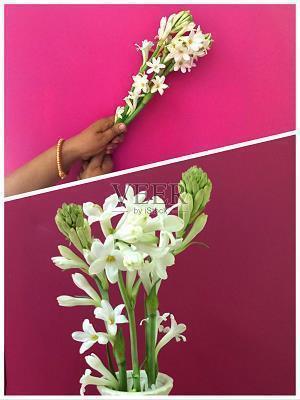 我要努力赚钱的qq说说