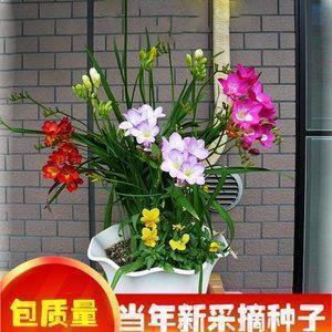 获致