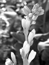 关于我要的坚强的说说45句