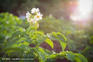 对男朋友父母特别失望的句子