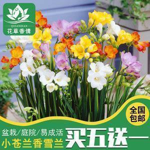 2022元旦祝福语(精选82条)