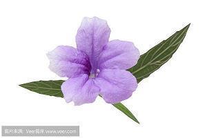 2021最受欢迎的小年快乐祝福语微信文案