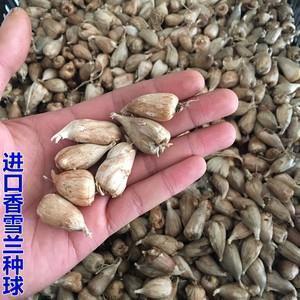 2021建党100周年群发的祝福语