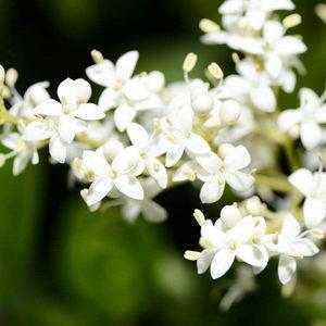 2021年国庆节文案简短(精选73句)