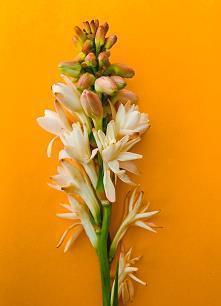 2021网络流行语句