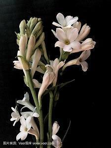 五四青年节简短祝福的话2021年汇总86句