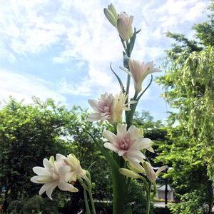 2021今日立冬朋友圈文案说说(精选75条)