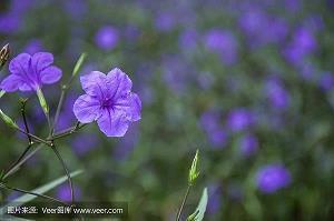 心里难过忍不住抽泣的爱情说说：你对我的耐心只剩下两个未接