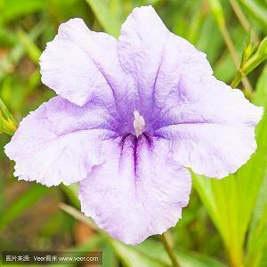 天气炎热早安问候语2021大全(精选65句)