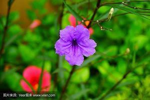 2021教师节祝福语短信大全(精选51条)