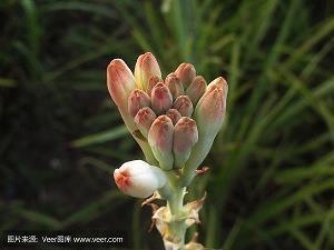 关于工作态度的句子