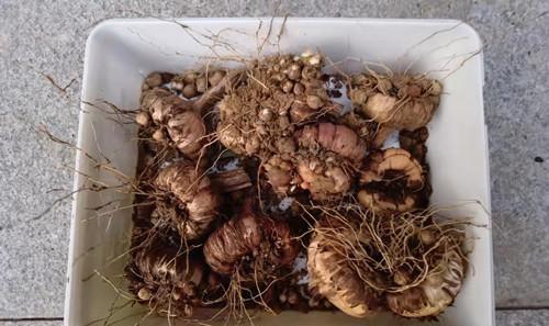 2020情人节浪漫的祝福语