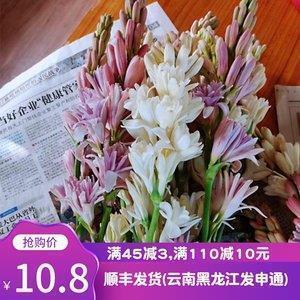 2022元旦发朋友圈的文案说说(精选131条)