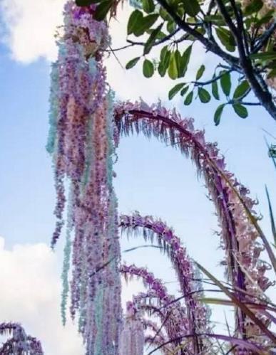 安慰病人的话语